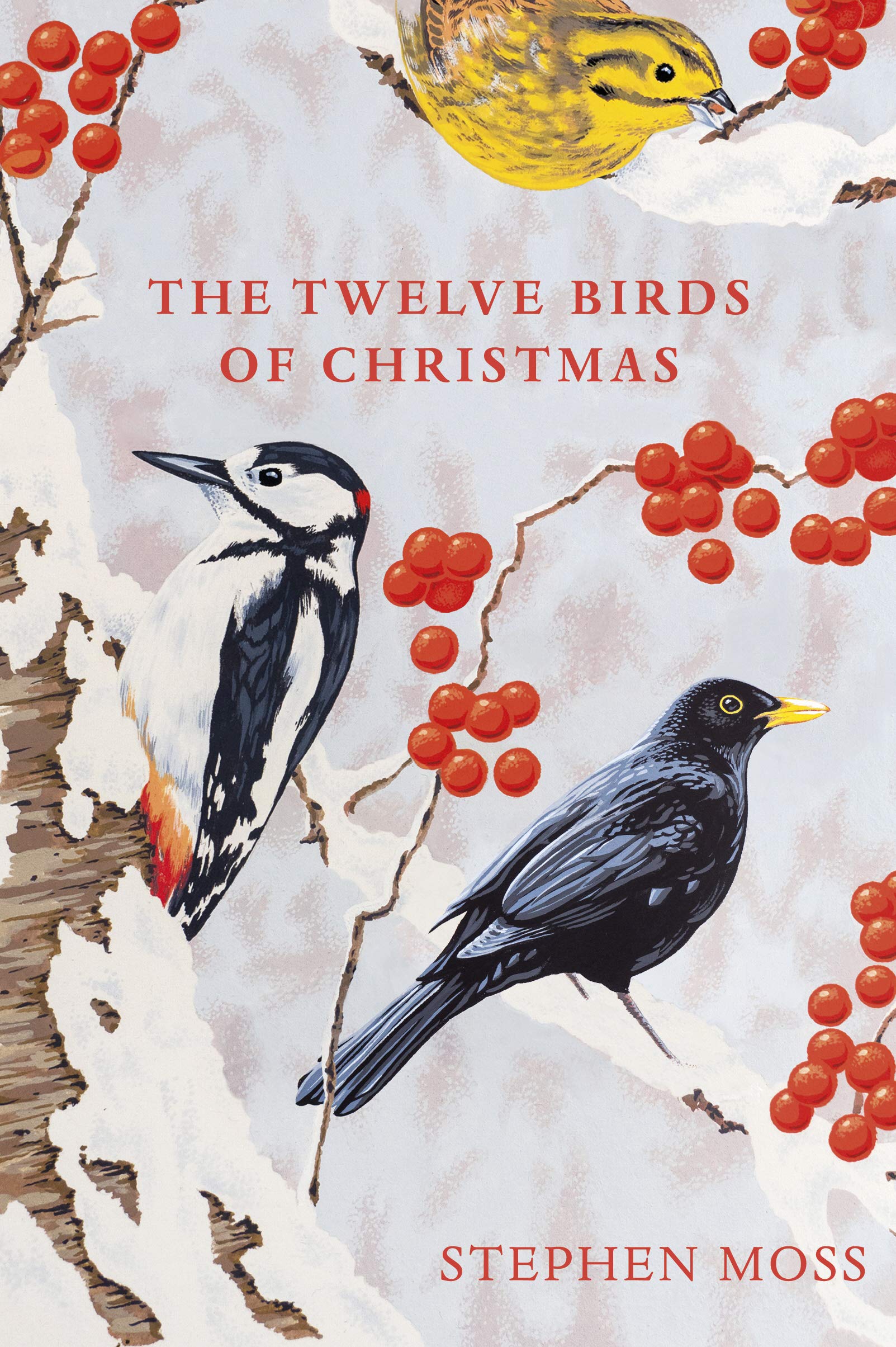 The Twelve Birds of Christmas by Stephen Moss