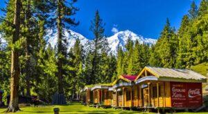 Fairy meadows