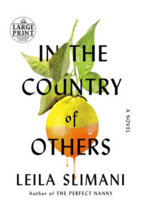 In the Country of Others by Leila Slimani