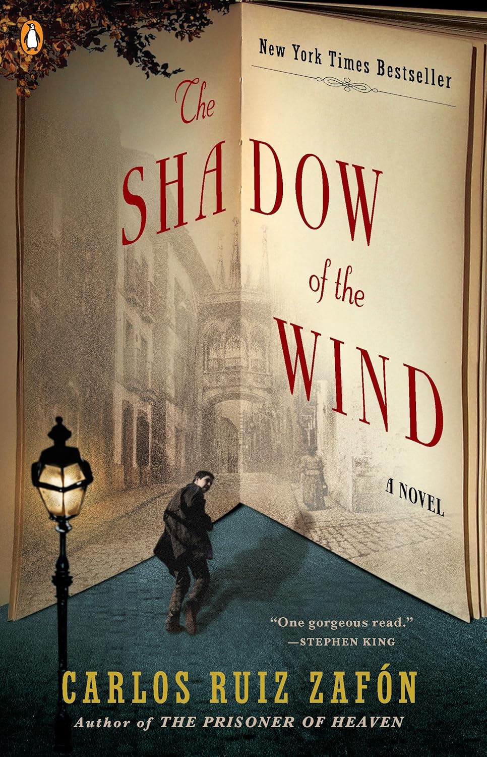 The Shadow Of The Wind by Carlos Ruiz Zafón